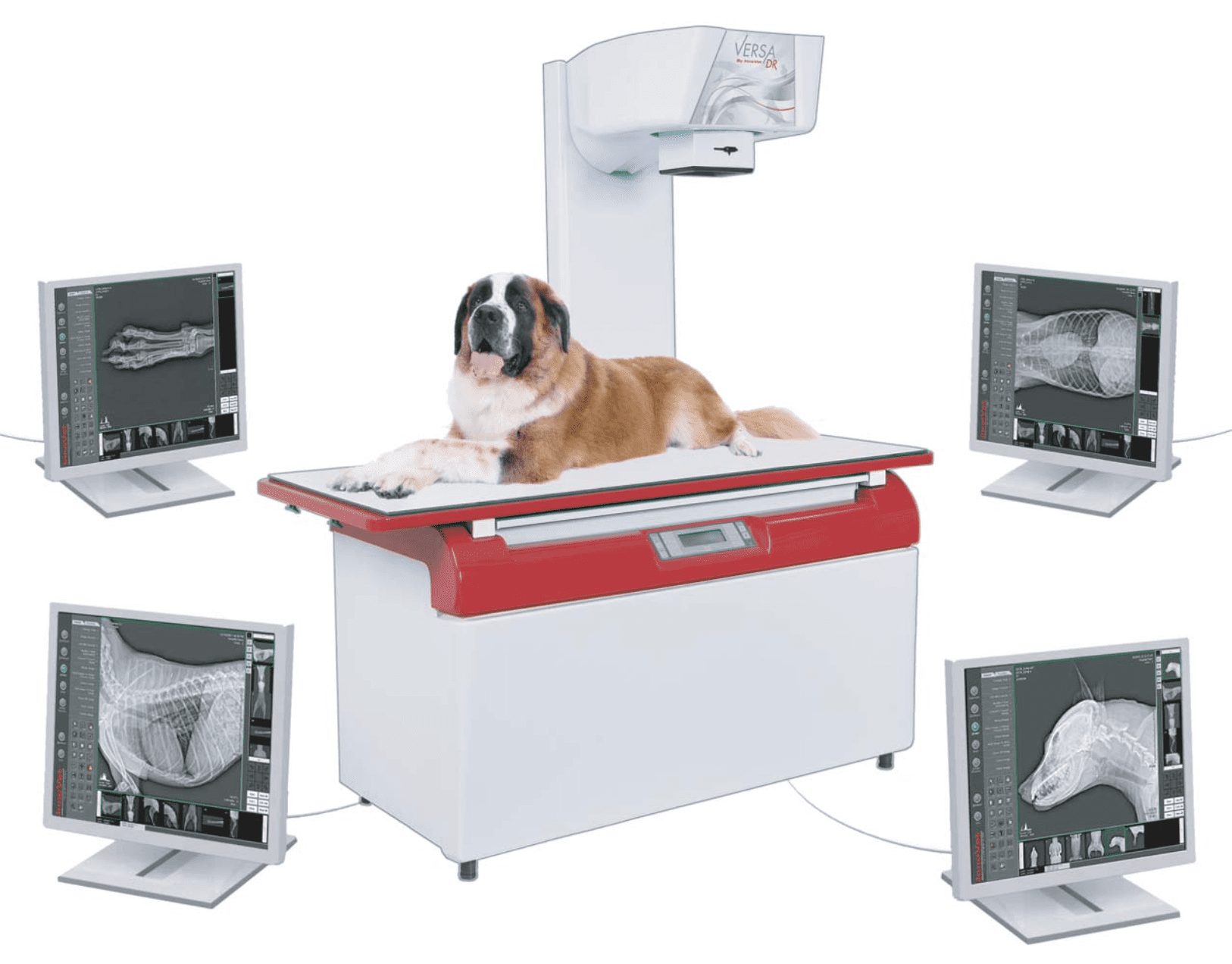 InnoVet X-Ray | Summit Industries Veterinary Manufacturer, Chicago IL